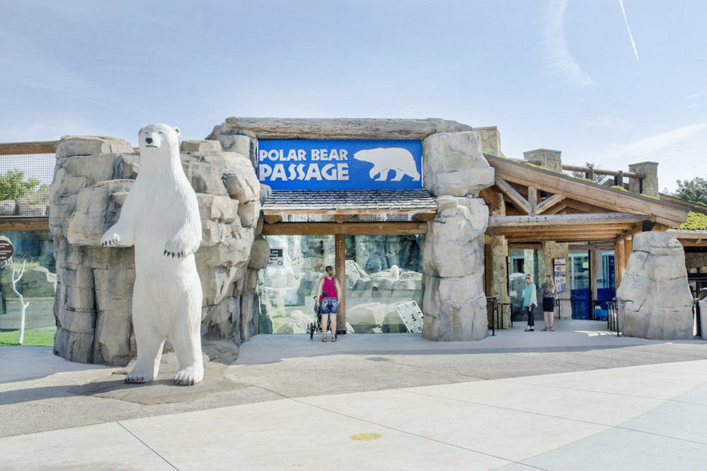 Polar Bear Exhibit